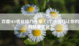 百度SEO优化技巧分享（5个小技巧让你的网站更优化）