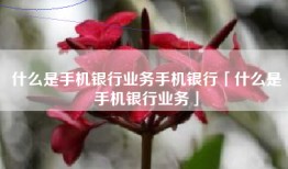 什么是手机银行业务手机银行「什么是手机银行业务」