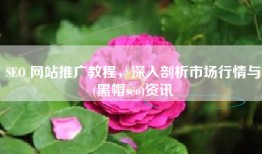 SEO 网站推广教程，深入剖析市场行情与(黑帽seo)资讯