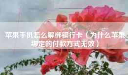 苹果手机怎么解绑银行卡（为什么苹果绑定的付款方式无效）