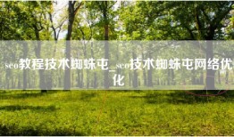 seo教程技术蜘蛛屯_seo技术蜘蛛屯网络优化