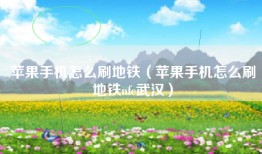 苹果手机怎么刷地铁（苹果手机怎么刷地铁nfc武汉）