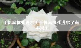 手机耳机孔进水（手机耳机孔进水了有事吗）