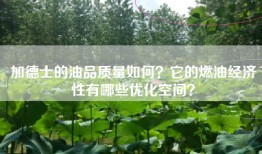 加德士的油品质量如何？它的燃油经济性有哪些优化空间？
