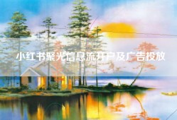 小红书聚光信息流开户及广告投放