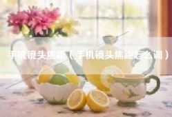手机镜头焦距（手机镜头焦距怎么调）