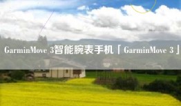 GarminMove 3智能腕表手机「GarminMove 3」