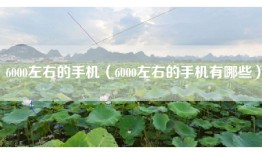 6000左右的手机（6000左右的手机有哪些）