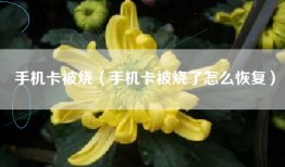 手机卡被烧（手机卡被烧了怎么恢复）