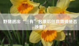 野猪退出“三有”名录后任意猎捕是否涉罪？