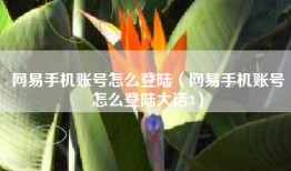 网易手机账号怎么登陆（网易手机账号怎么登陆大话3）