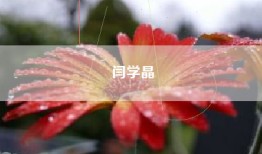 闫学晶