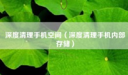 深度清理手机空间（深度清理手机内部存储）