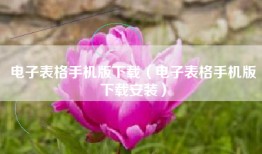 电子表格手机版下载（电子表格手机版下载安装）