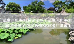 苹果手机开机忘记密码（苹果手机开机忘记密码了 怎么设置恢复出厂设置）