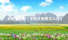 手机无数据（手机无数据怎么办）