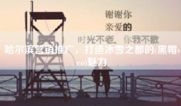 哈尔滨营销推广，打造冰雪之都的(黑帽seo)魅力