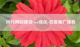 闵行网站建设-seo优化-百度推广排名
