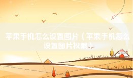 苹果手机怎么设置图片（苹果手机怎么设置图片权限）