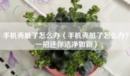 手机壳脏了怎么办（手机壳脏了怎么办？一招还你洁净如新）