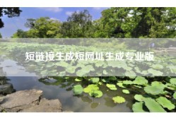 短链接生成短网址生成专业版