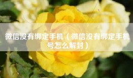 微信没有绑定手机（微信没有绑定手机号怎么解封）