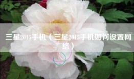 三星2015手机（三星2015手机如何设置网络）