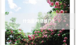 什么是网络推广？