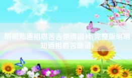 明明知道相思苦吉他谱图片(完整版明明知道相思苦曲谱)
