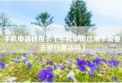 手机申请信用卡（手机申请信用卡需要去银行激活吗）