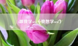 s跟我学seo（我想学seo）