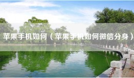 苹果手机如何（苹果手机如何微信分身）