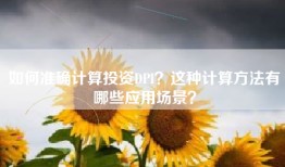 如何准确计算投资DPI？这种计算方法有哪些应用场景？