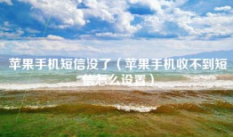苹果手机短信没了（苹果手机收不到短信怎么设置）