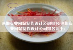 深圳专业网站制作设计公司排名(深圳专业网站制作设计公司排名前十)