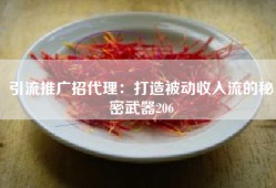 引流推广招代理：打造被动收入流的秘密武器206