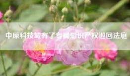 中原科技城有了专属知识产权巡回法庭