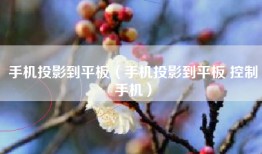 手机投影到平板（手机投影到平板 控制手机）