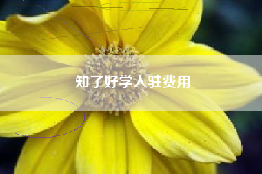 知了好学入驻费用