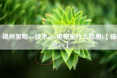 锦州黑帽seo技术(seo黑帽是什么意思)【临沧seo】