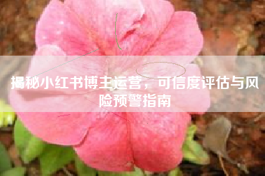 揭秘小红书博主运营，可信度评估与风险预警指南