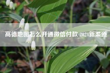 高德地图怎么开通微信付款 2024新渠道