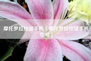 摩托罗拉按键手机（摩托罗拉按键手机型号）