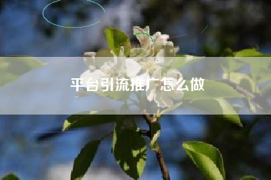 平台引流推广怎么做