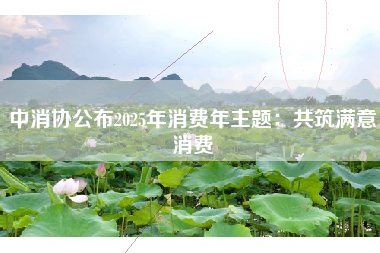 中消协公布2025年消费年主题：共筑满意消费